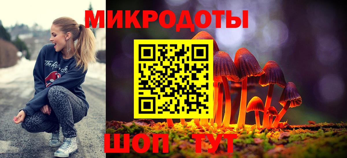 Псилоцибиновые грибы мухоморы Калининград