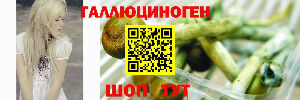 Галлюциногенные грибы Magic Shrooms  Вход с VPN  Калининград 